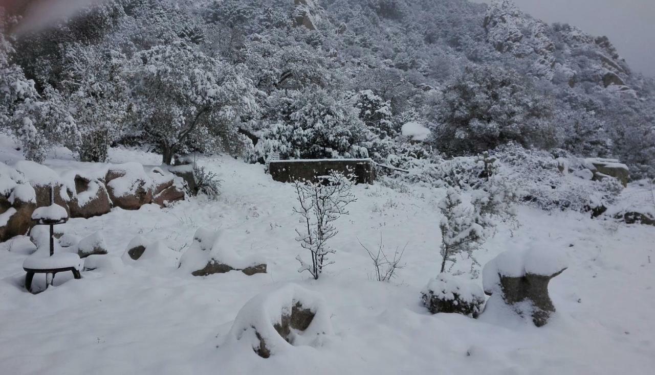 Agriturismo Monte Pino Telti Exteriör bild
