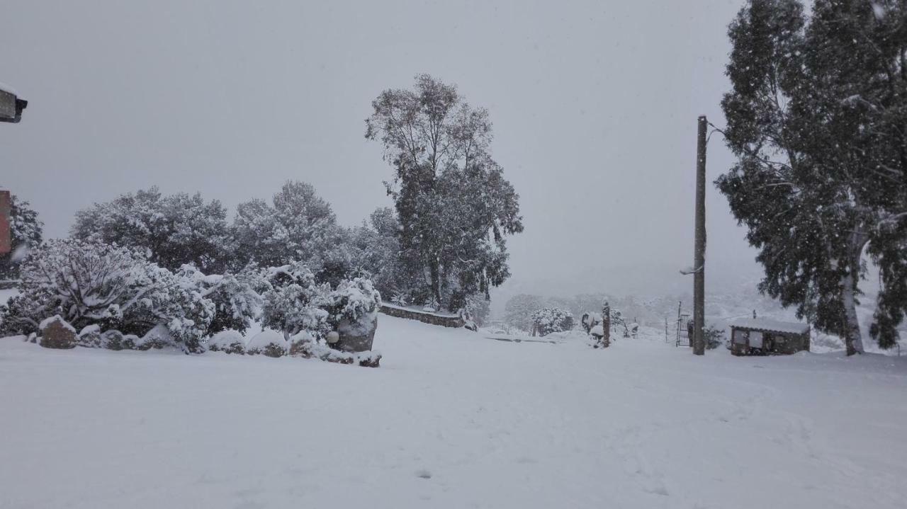 Agriturismo Monte Pino Telti Exteriör bild