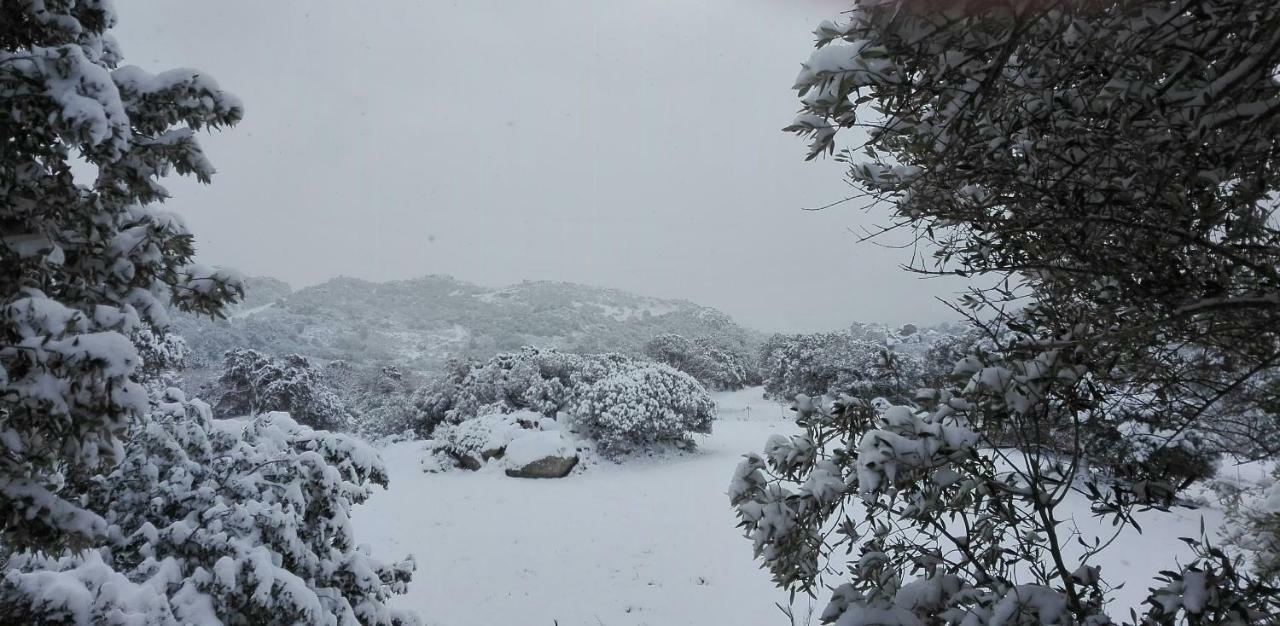 Agriturismo Monte Pino Telti Exteriör bild